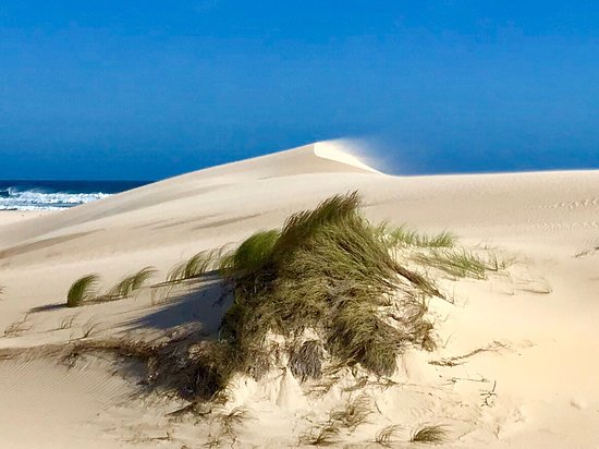 0 Bedroom Property for Sale in Oyster Bay Eastern Cape